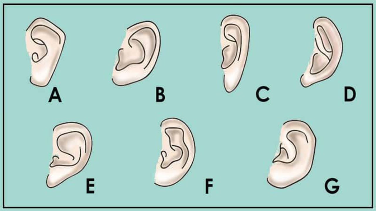 Почему уши разные