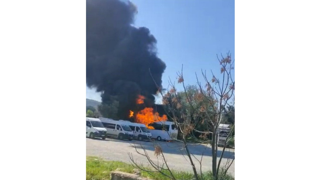 Bodrum'da Okul Servisi, Alev Alev Yandı