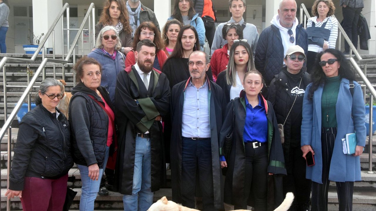 3 Köpeği Zehirleyen Sanığın Yargılandığı Davada 'şikayet Yok' Diyerek Durdurma Kararı