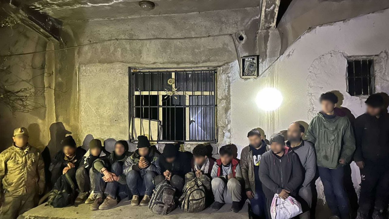 Van'da 13 Kaçak Göçmen Yakalandı, 2 Organizatör Tutuklandı