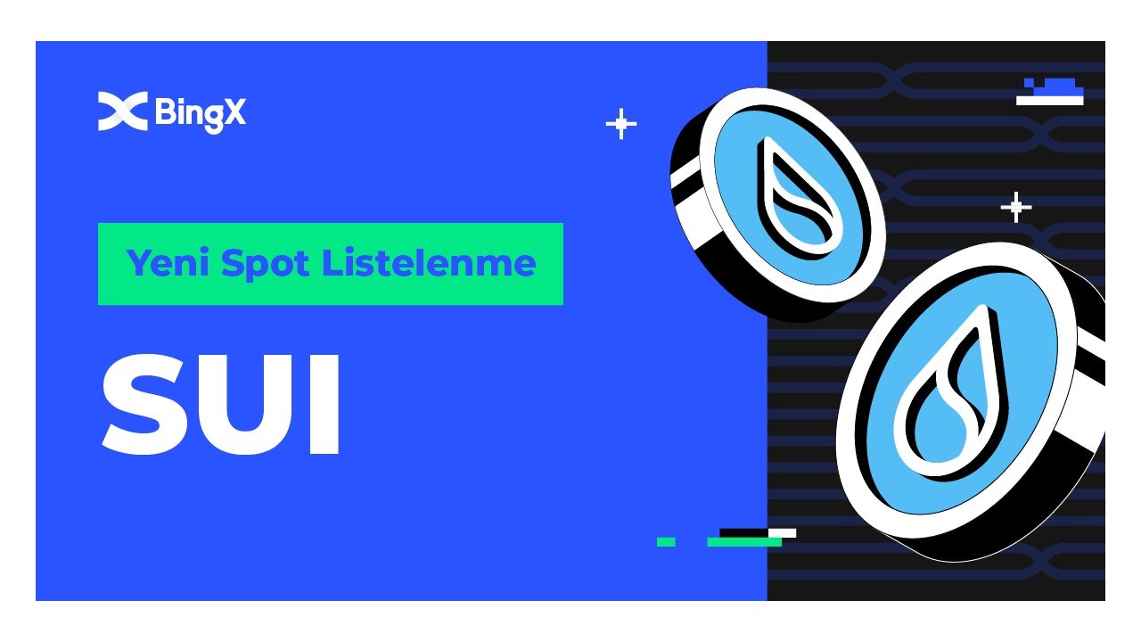 Bingx, Suı Listelenmesini Destekleyecek